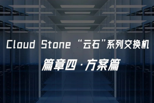 园区网&数据中心网络——大E哥的拿手绝活儿